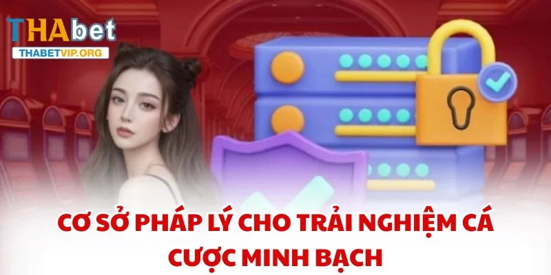 Cơ sở pháp lý cho trải nghiệm cá cược minh bạch