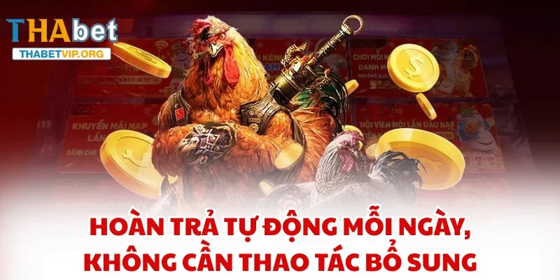 Hoàn trả tự động mỗi ngày, không cần thao tác bổ sung.