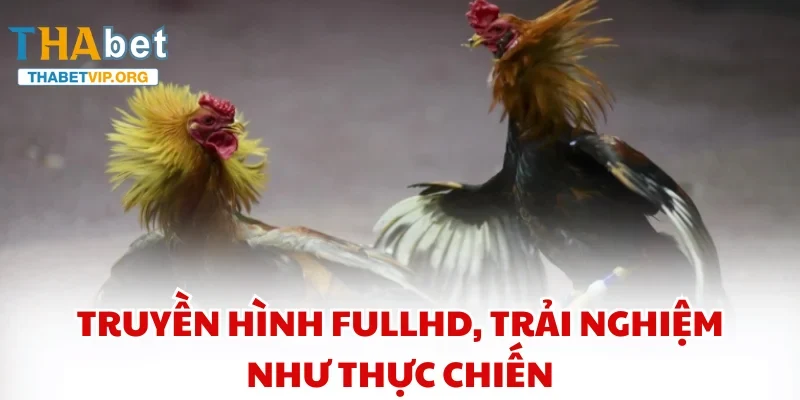 Truyền hình FullHD, trải nghiệm như thực chiến